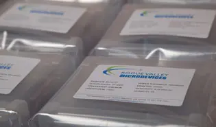SiliconWafers-001.webp